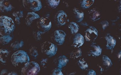 Antioxidantien und Longevity: Warum Balance wichtiger ist als mehr
