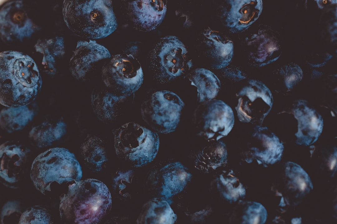 antioxidantien-und-longevity-warum-balance-wichtiger-ist-als-mehr-hero Antioxidantien und Longevity: Warum Balance wichtiger ist als mehr