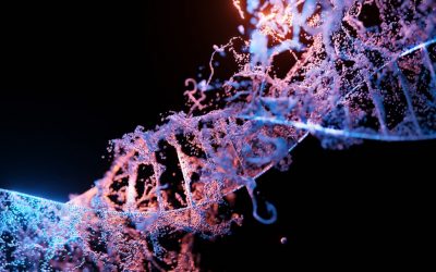 Magnesium und Longevity: Warum ein Mangel die DNA schädigt