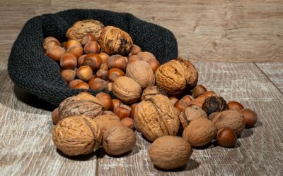 Nüsse: Kleine Kraftpakete für die Gesundheit – Warum täglicher Genuss Herz, Nerven und Immunsystem stärkt