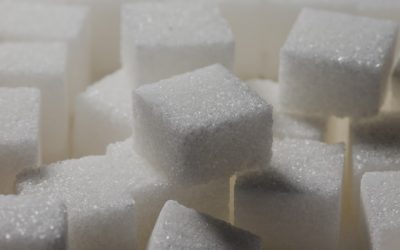 Populismus ist keine Prävention: Warum die Wissenschaft bei Zuckersteuer und Epigenetik ignoriert wird